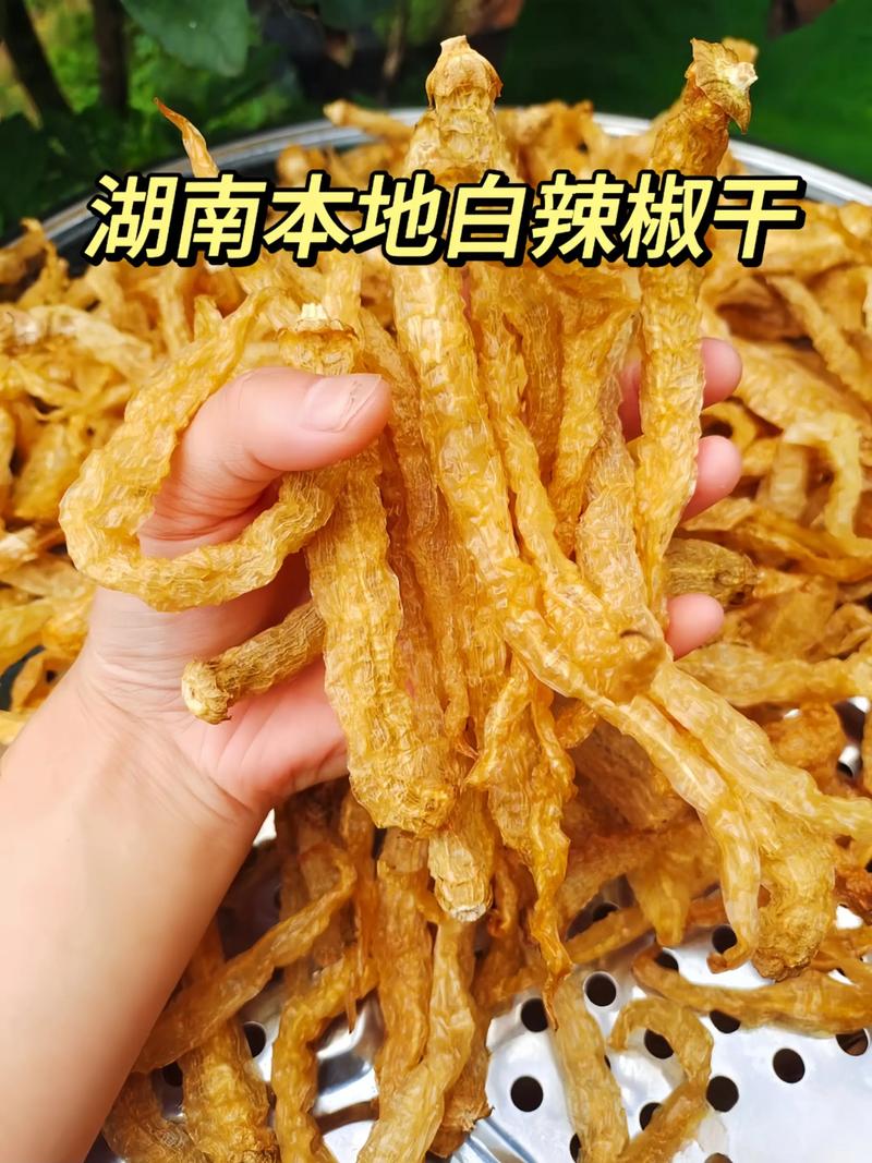 五谷丰登贸易动态：推动农业现代化的新篇章